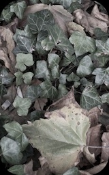 Image: arts&nbsp;&&nbsp;ego for fotos