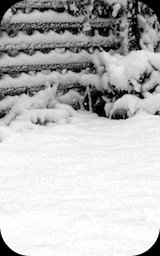 Image: arts&nbsp;&&nbsp;ego for fotos