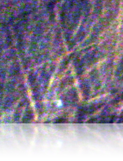 image: &hellip;punt the CV&hellip;