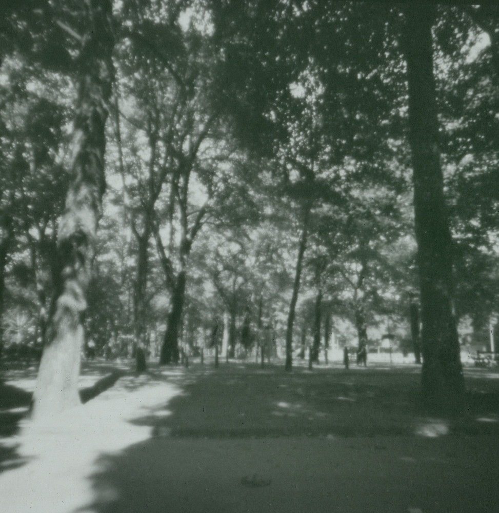 image: gaalgebierg, esch