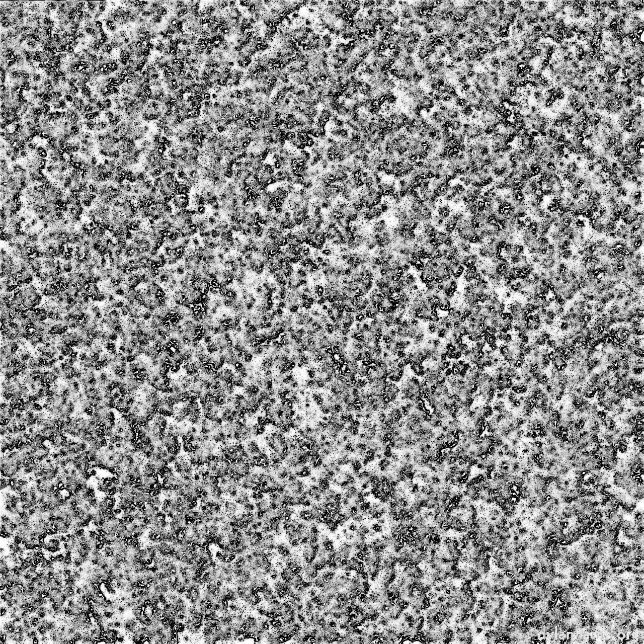 image: general examples :: edges&nbsp;bubbler&mdash;loop&nbsp;action&nbsp;+&nbsp;mouse