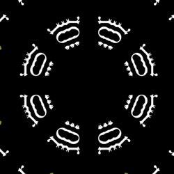 image: image from kaleido spiro warp - loop action + mouse