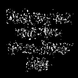 image: image from image efx - place image in canvas