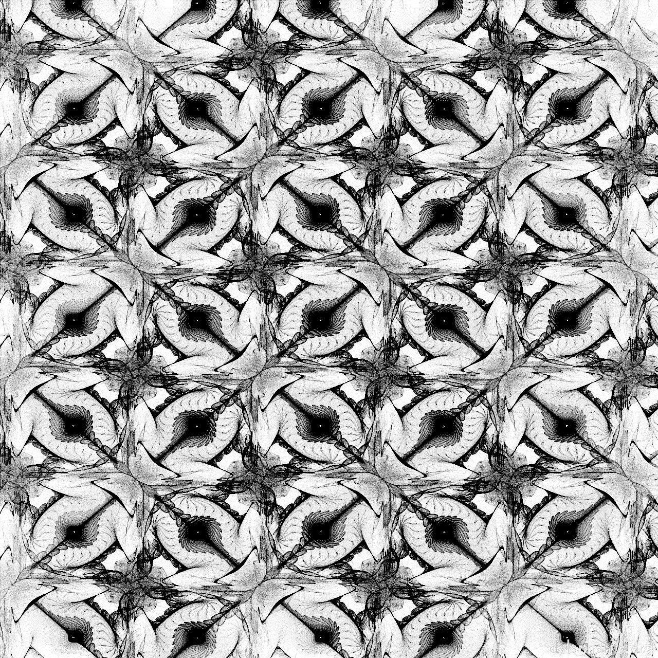 image: attractors - bw :: basket&nbsp;weave&nbsp;2