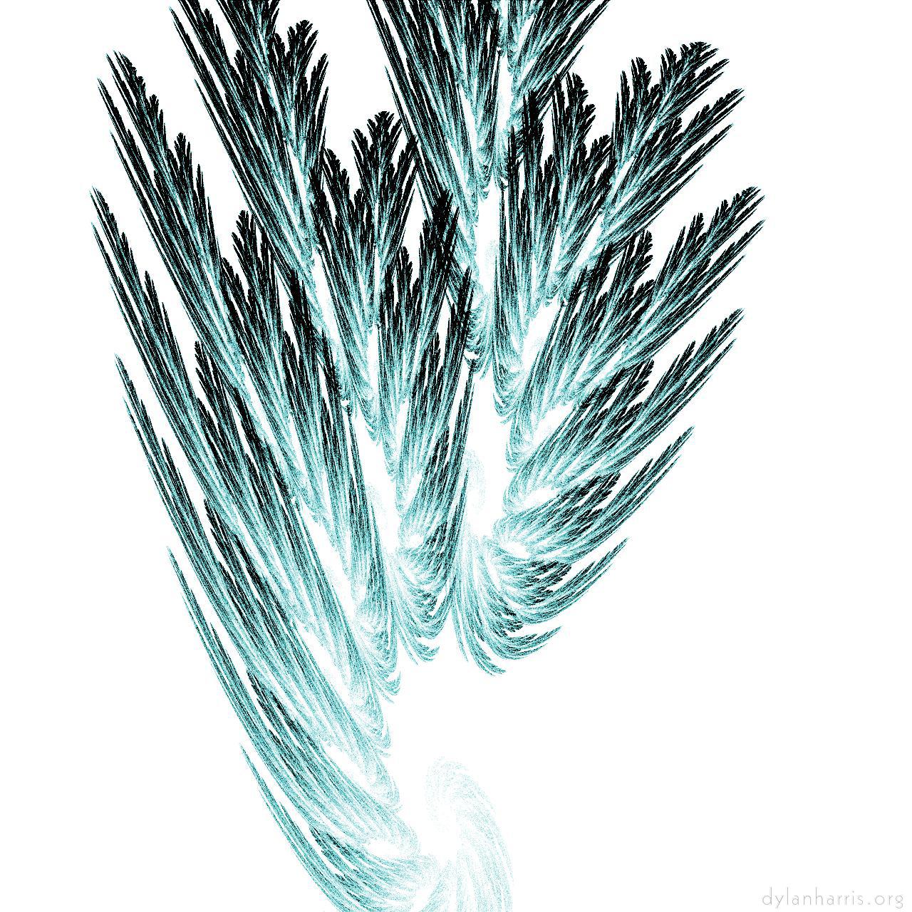 image: attractors - colour :: christmas&nbsp;tree