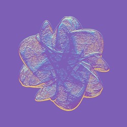 image: image from attr t1