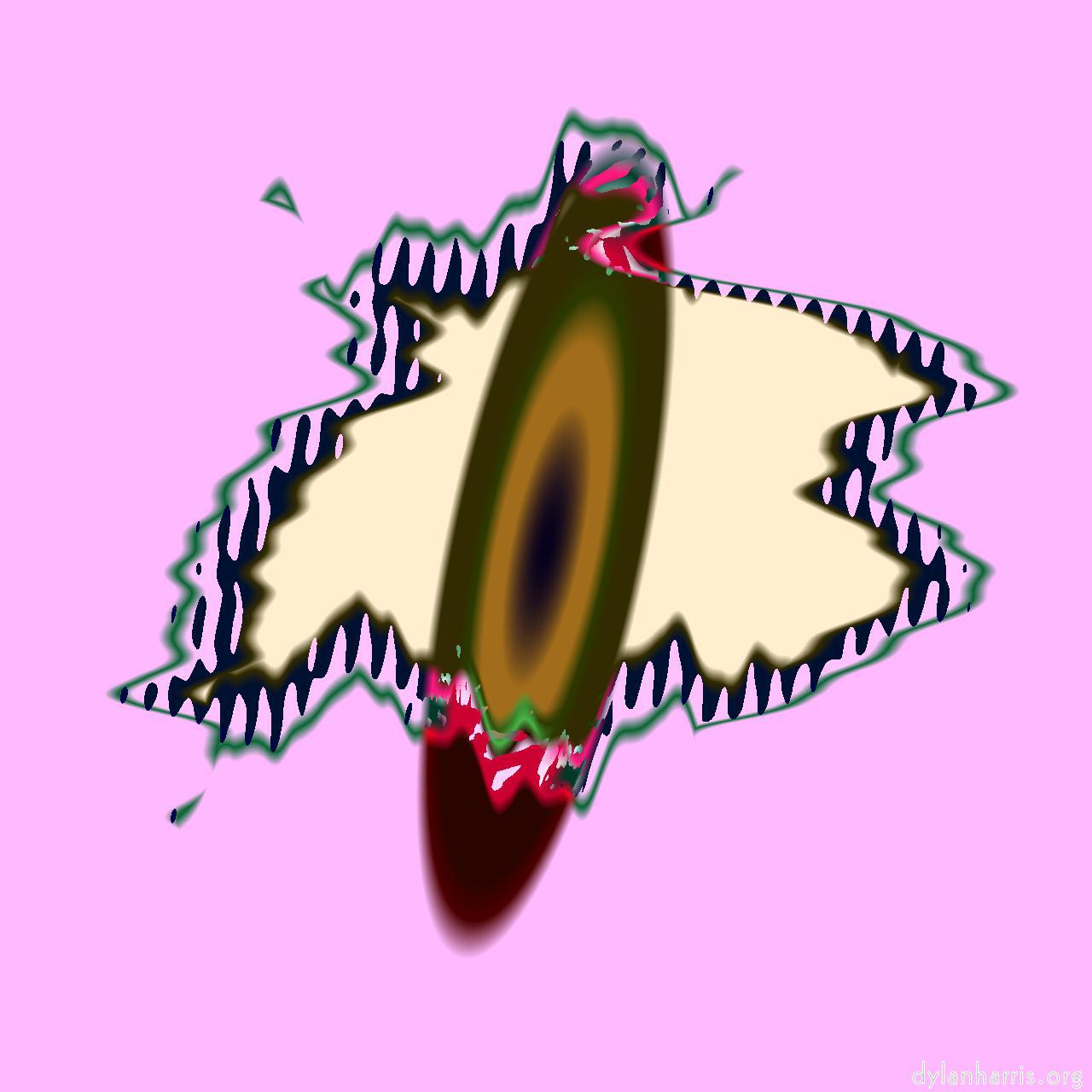 image: boxed :: back&nbsp;4