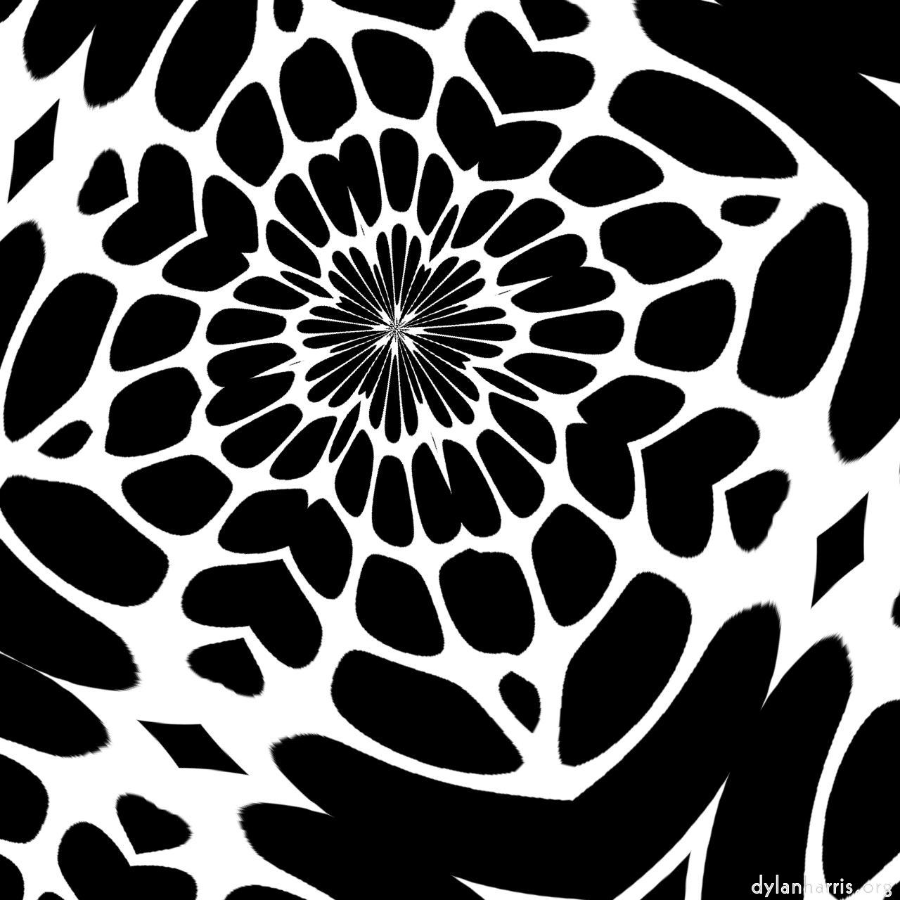 image: bw attractor :: web&nbsp;of&nbsp;deceit