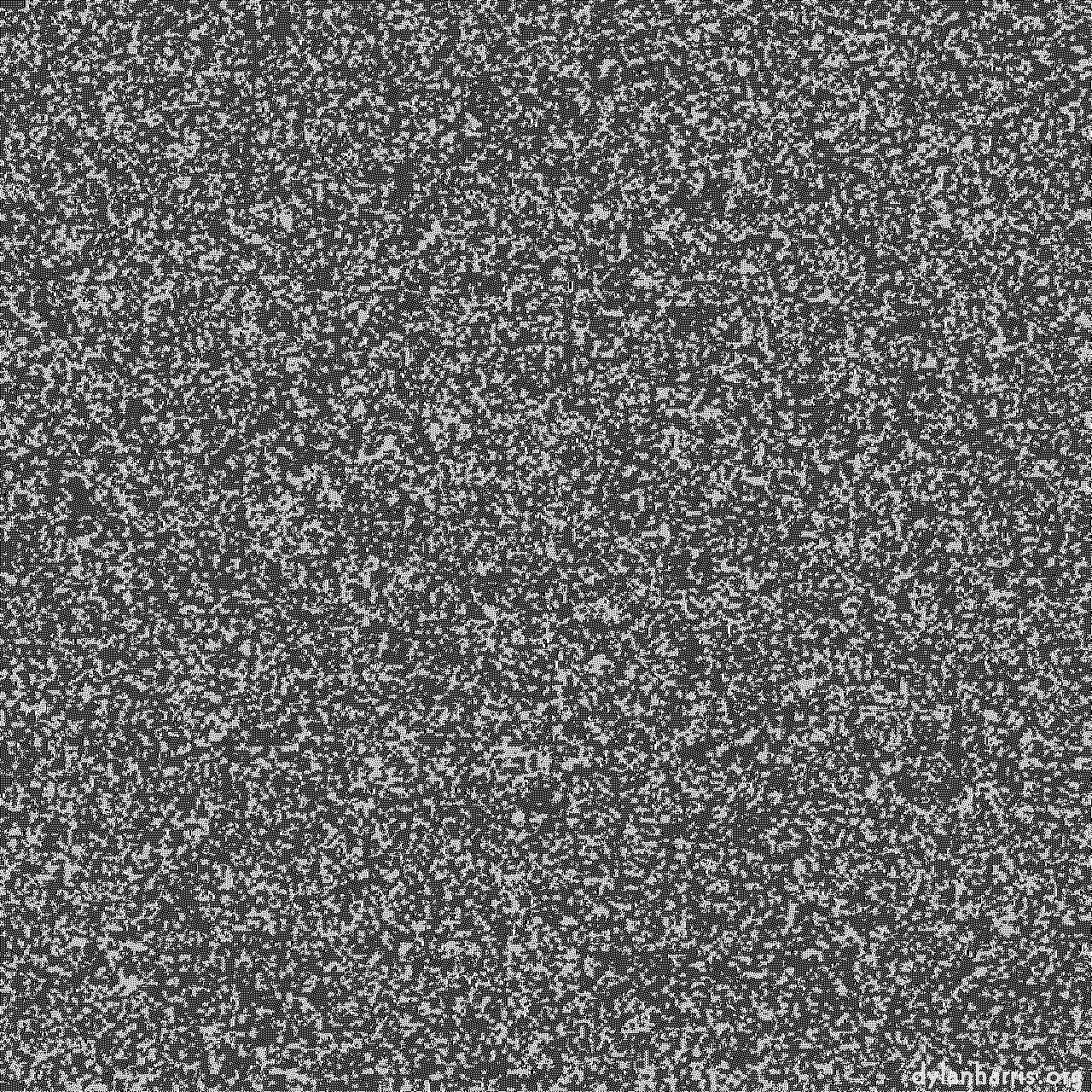 image: ca noise :: ca&nbsp;noise&nbsp;1