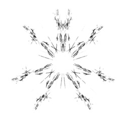 image: image from chaos generators (animated)