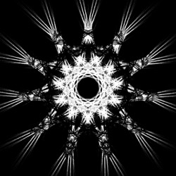 image: image from chaos generators (animated)