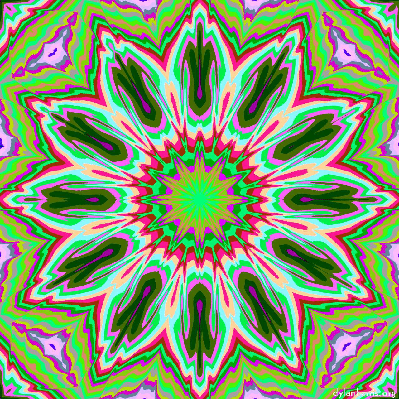 image: cirsym :: z22