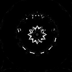 image: image from cirsym