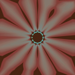 image: image from cirsym