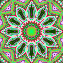 image: image from cirsym