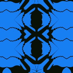 image: image from complex attractors