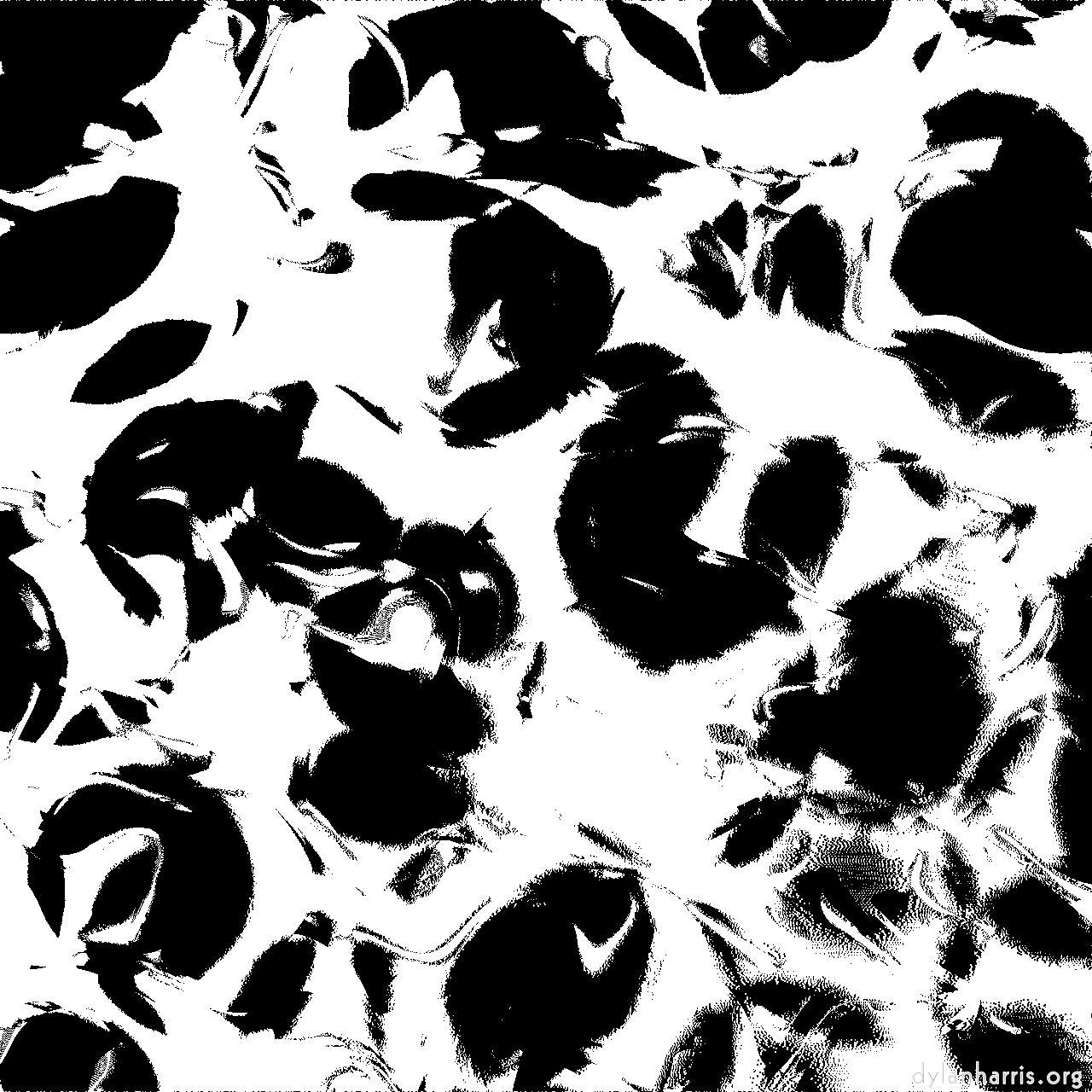 image: fun :: bw&nbsp;beans&nbsp;threshold&mdash;tg1