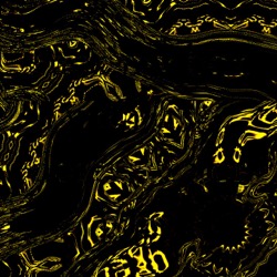 image: image from general 2