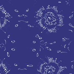 image: image from general 3