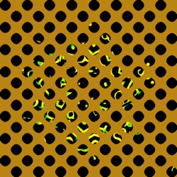 image: image from grid