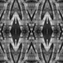 image: image from in progress ones