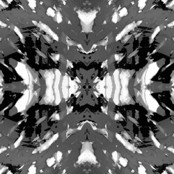 image: image from in progress ones