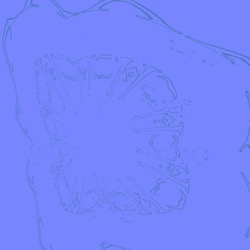 image: image from inv sym