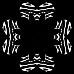 image: image from kaleido 3