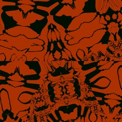 image: image from more msg