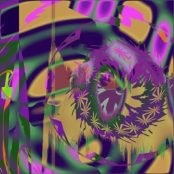 image: image from msg 1