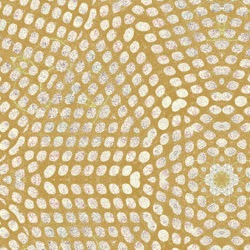 image: image from msg 5