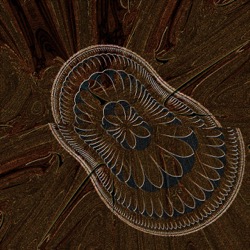 image: image from msg 5