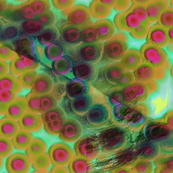 image: image from msg 5