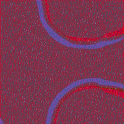 image: image from msg 7