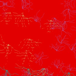 image: image from msg 8