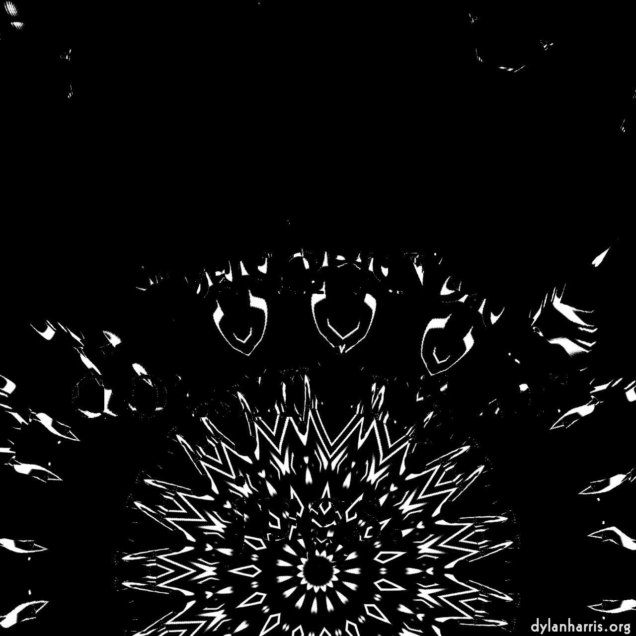 image: organic sym :: cool&nbsp;3