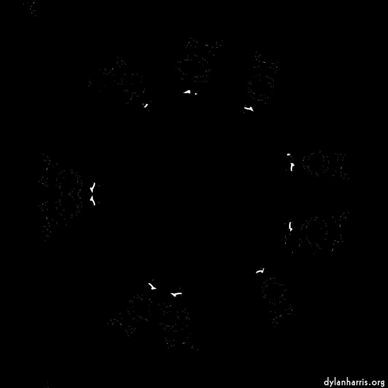 image: organic sym :: dual&nbsp;sym