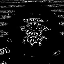 image: image from organic sym