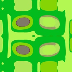 image: image from patterns 2b