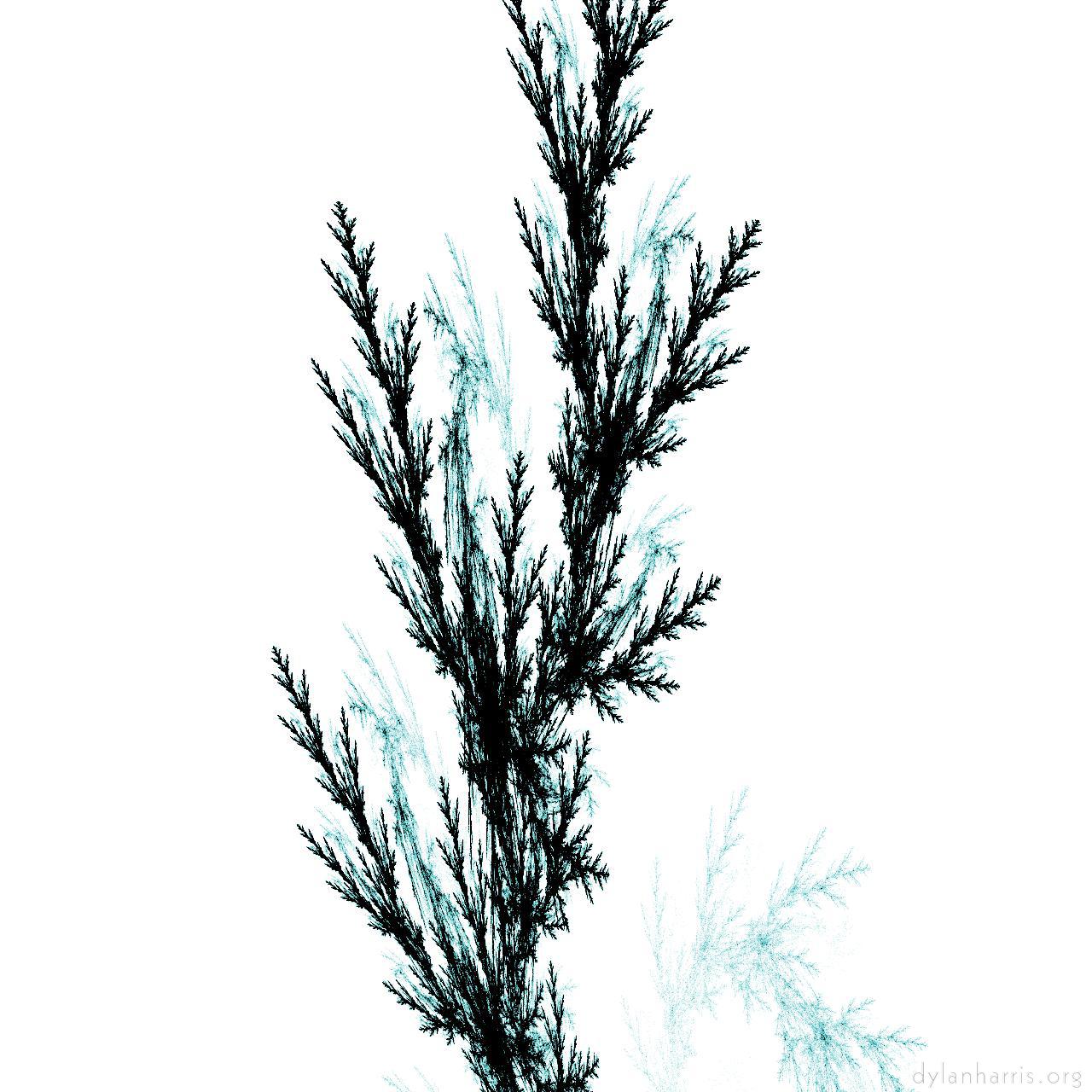 image: pen modulation 2 :: ifs&nbsp;gen&nbsp;2&nbsp;feather&nbsp;rainbow