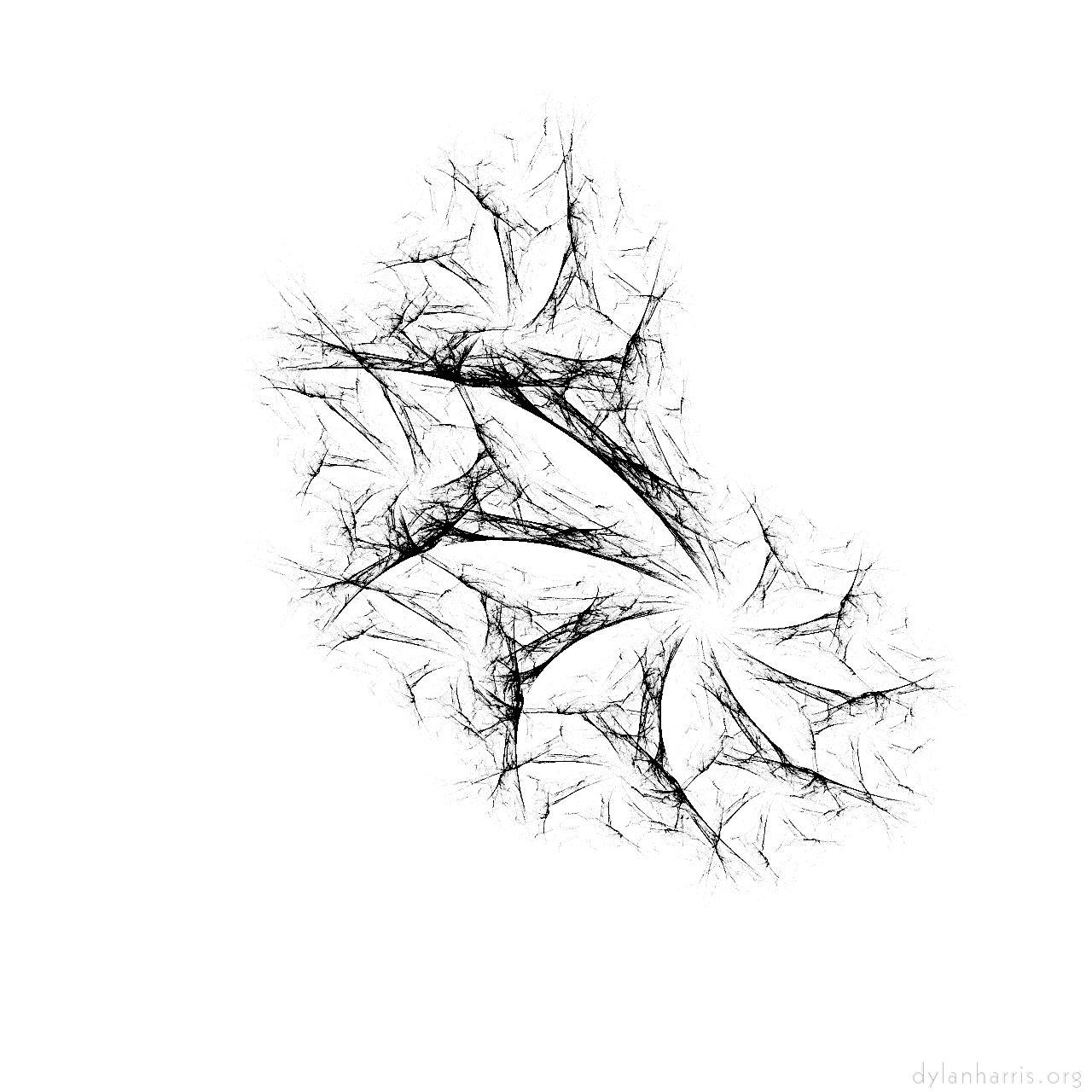 Image: storage presets :: ifs&nbsp;bw&nbsp;attractor