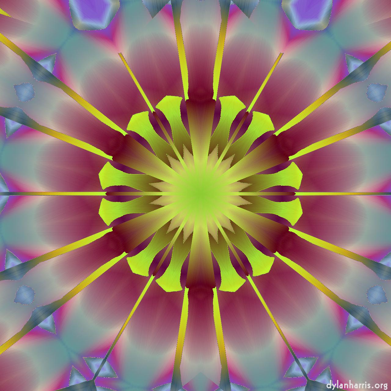 image: storage presets :: star&nbsp;of&nbsp;heaven