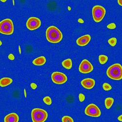 image: image from t1