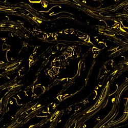 image: image from tri sym