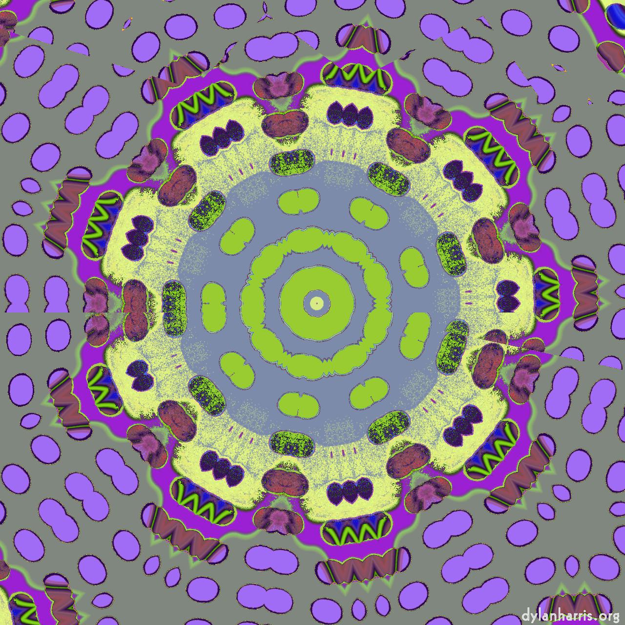 image: variations :: patterning&nbsp;2