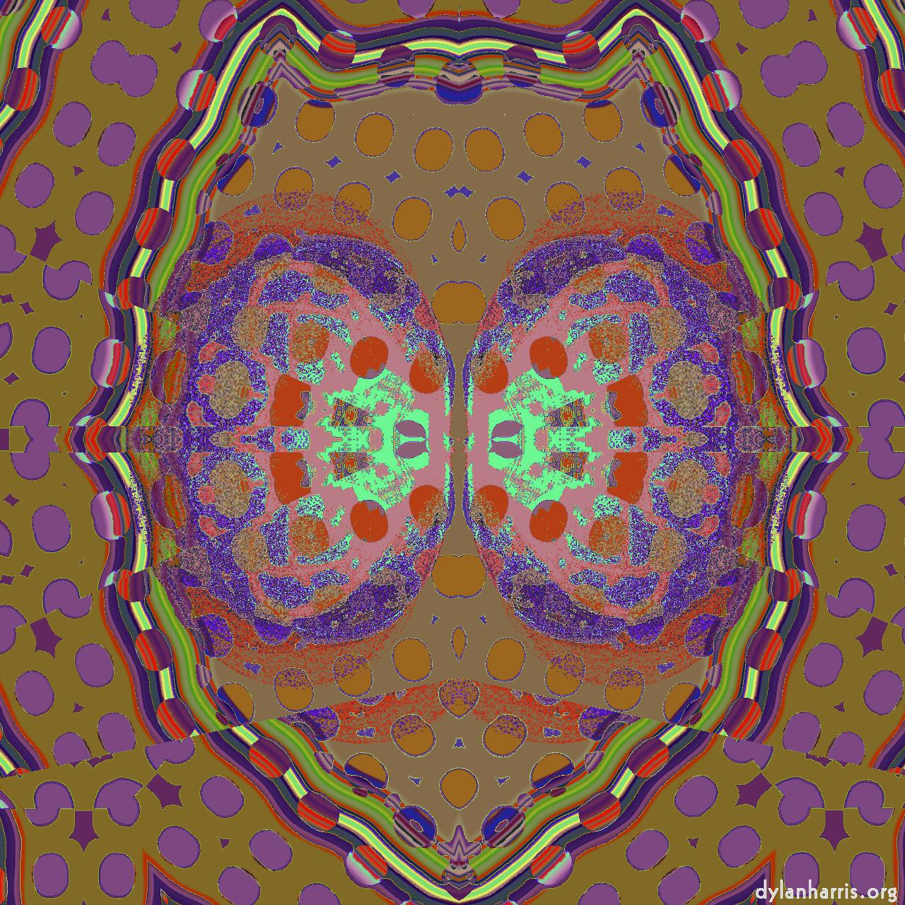 image: variations :: pretty&nbsp;busy