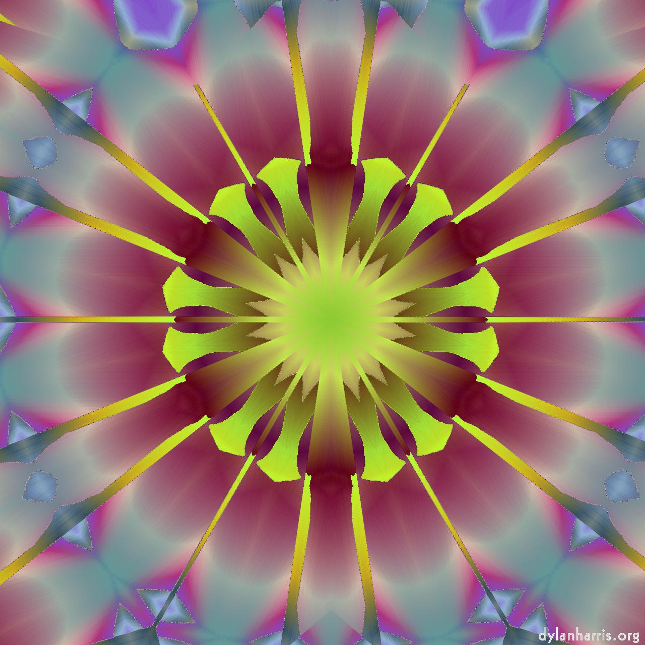 image: variations :: star&nbsp;of&nbsp;heaven