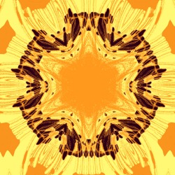 image: image from variations