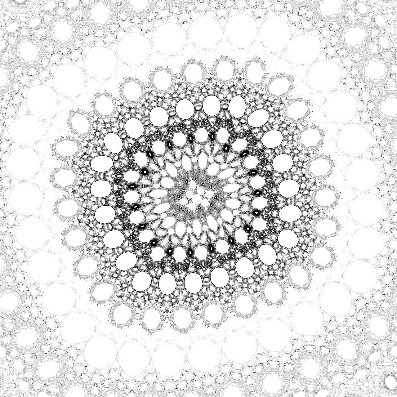 image: variations 1 :: cg8