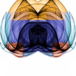 image: image from z test 1